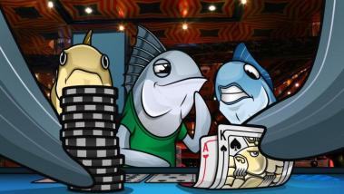 Continuation Bets – How and Why Should You Make Them?